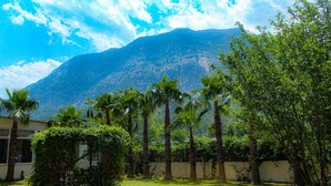 A lush garden with palm trees and a mountain in the background. - Castle Park Hotel (Kemer)