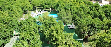 Habitación estándar, varias camas | Jardín