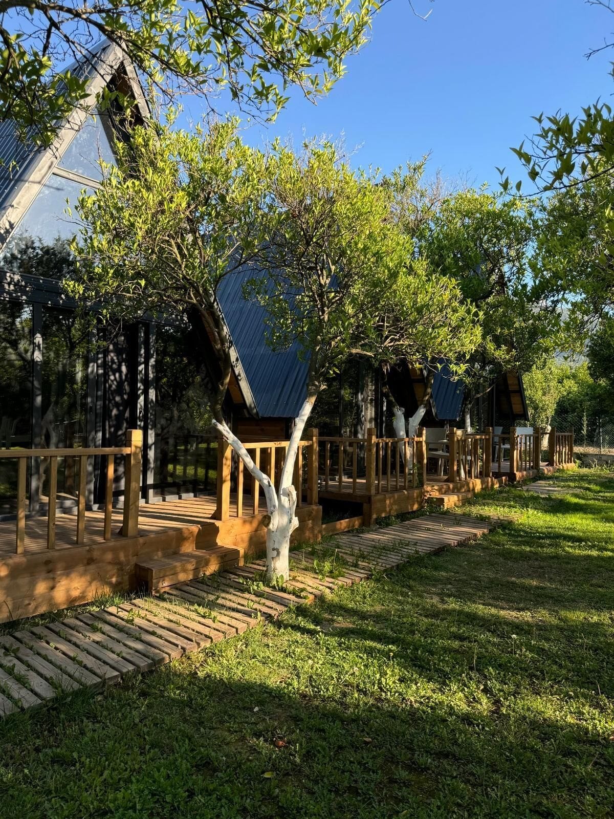 华丽树屋 | 花园景观