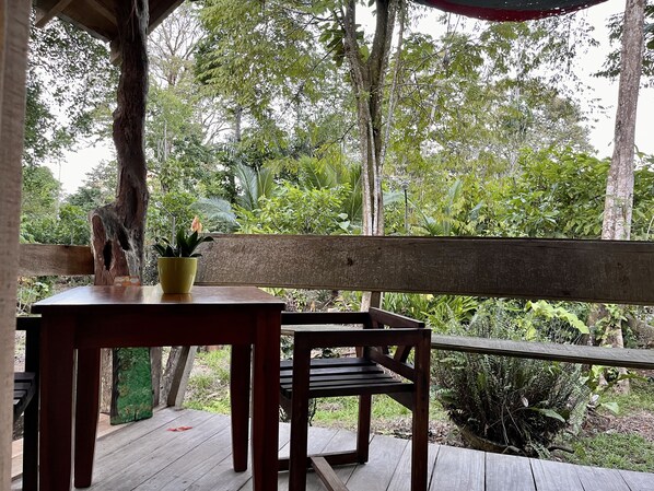 Standard Single Room | Terrace/patio