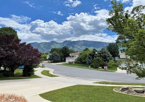 Stroll through a serene neighborhood with modern homes and lush greenery.