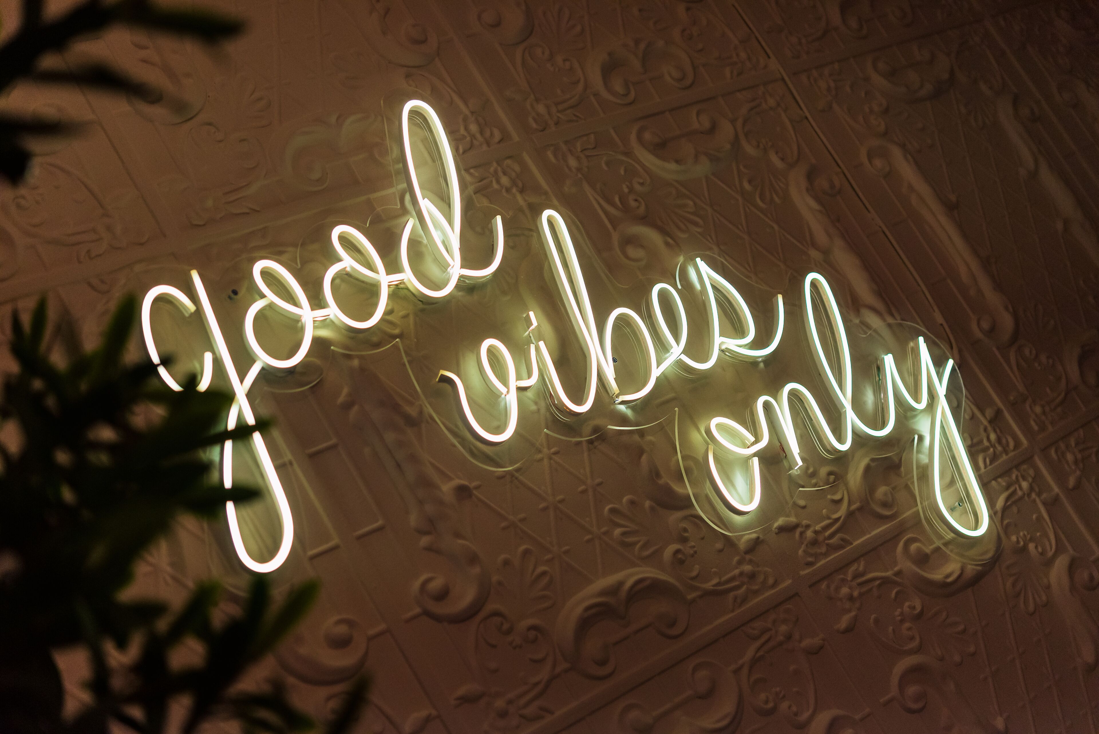 Foto - Citi Hotel's Łódź