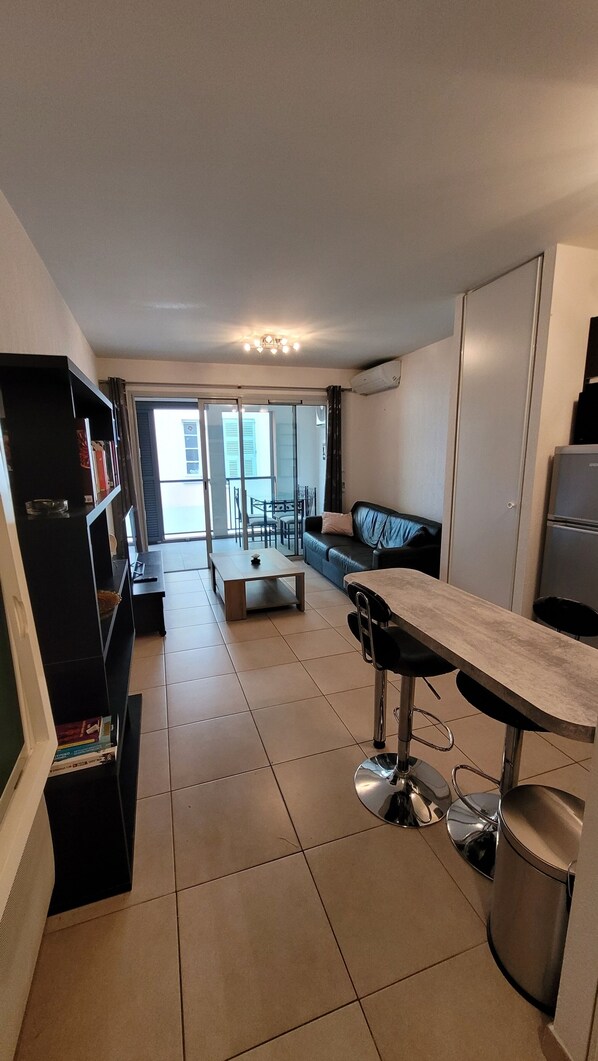 Älytelevisio, kirjoja