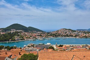 Vista aérea