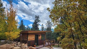 Exterior - Spacious new guest house in the pines (sunshine and trails) (Flagstaff)