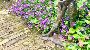 Un jardín con una estatua, abundante vegetación y un sendero de ladrillos.