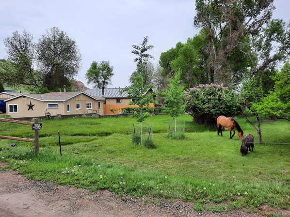 Property grounds