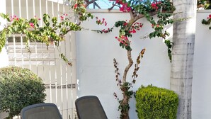 Dos sillones de descanso en un patio empedrado con cerca blanca, un árbol pequeño y un arbusto.