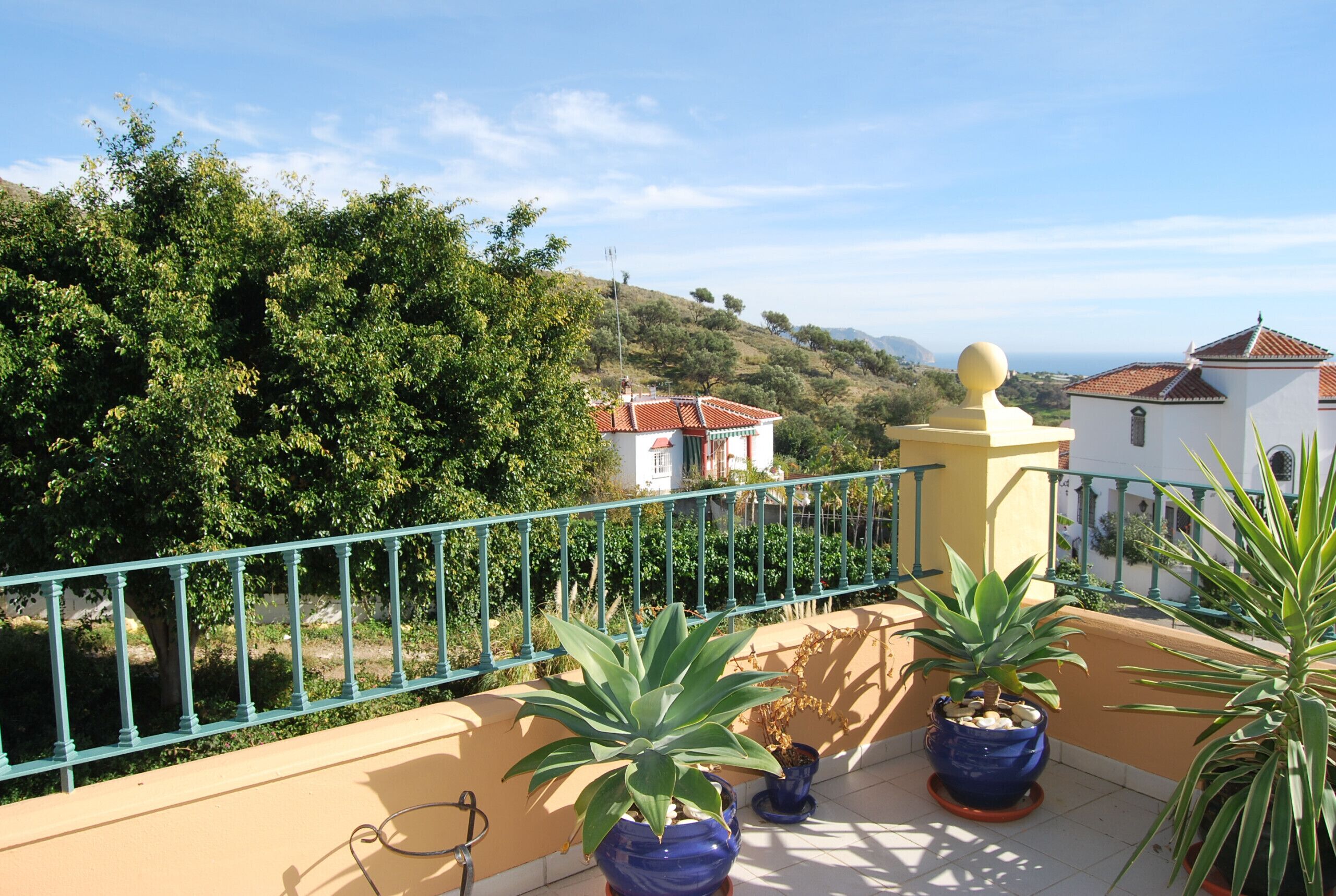 Un balcon agrémenté de plantes en pot, doté d’une balustrade et offrant une vue sur une colline parsemée de bâtiments.