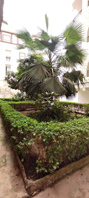 Property grounds - AP370 - Bahia (Nerja)