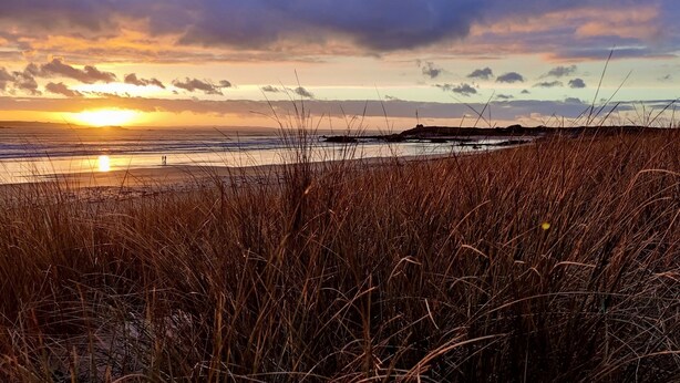 Une plage avec de hautes herbes au premier plan et un coucher de soleil sur l’océan.