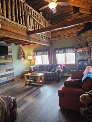 Smart TV, fireplace, books