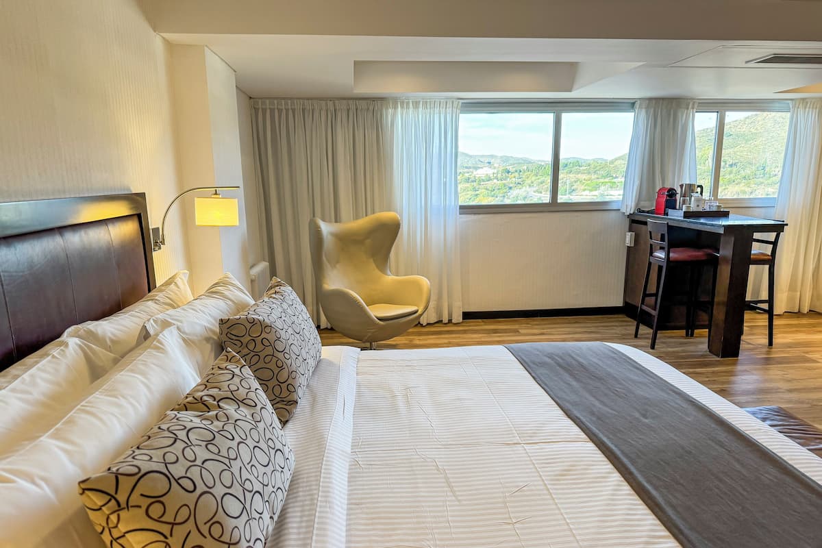 Habitación de hotel con cama, una silla, escritorio y vistas al exterior.