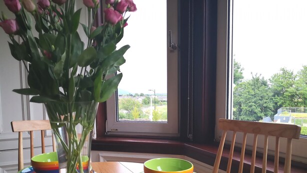 Une table à manger avec des assiettes colorées et un vase rempli de fleurs.