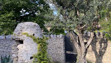 A stone wall with a circular opening, a tree with a large trunk, and a black gate.