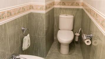 Combined shower/tub, hair dryer, bidet, towels