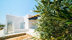A white building with a blue roof, a stone pathway, and an olive tree in the foreground. - Aegean Villa in Paros (Paros)