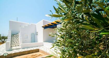 Angel Villa in Paros