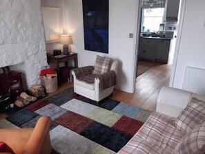 Smart-TV, Kamin