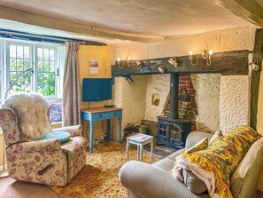 Fireplace - 1 bedroom accommodation in Cranborne Chase and West (Cranborne Chase and West)