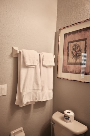 Combined shower/tub, hair dryer, towels, soap