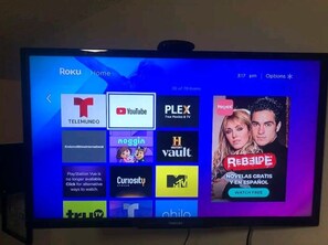 Television