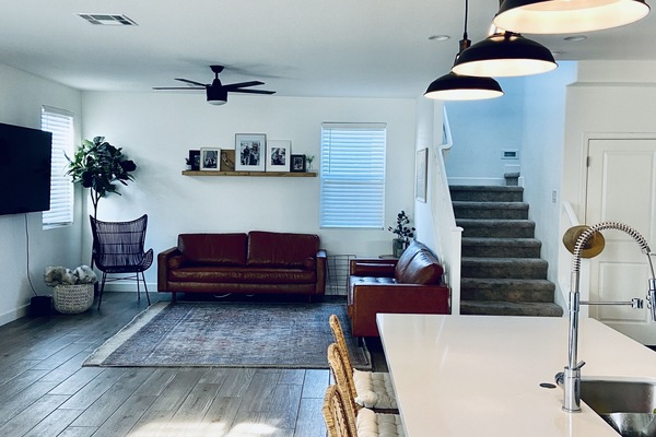 Smart TV, books, stereo, computer monitors