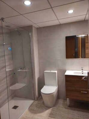 Douche, sèche-cheveux, serviettes fournies, papier toilette