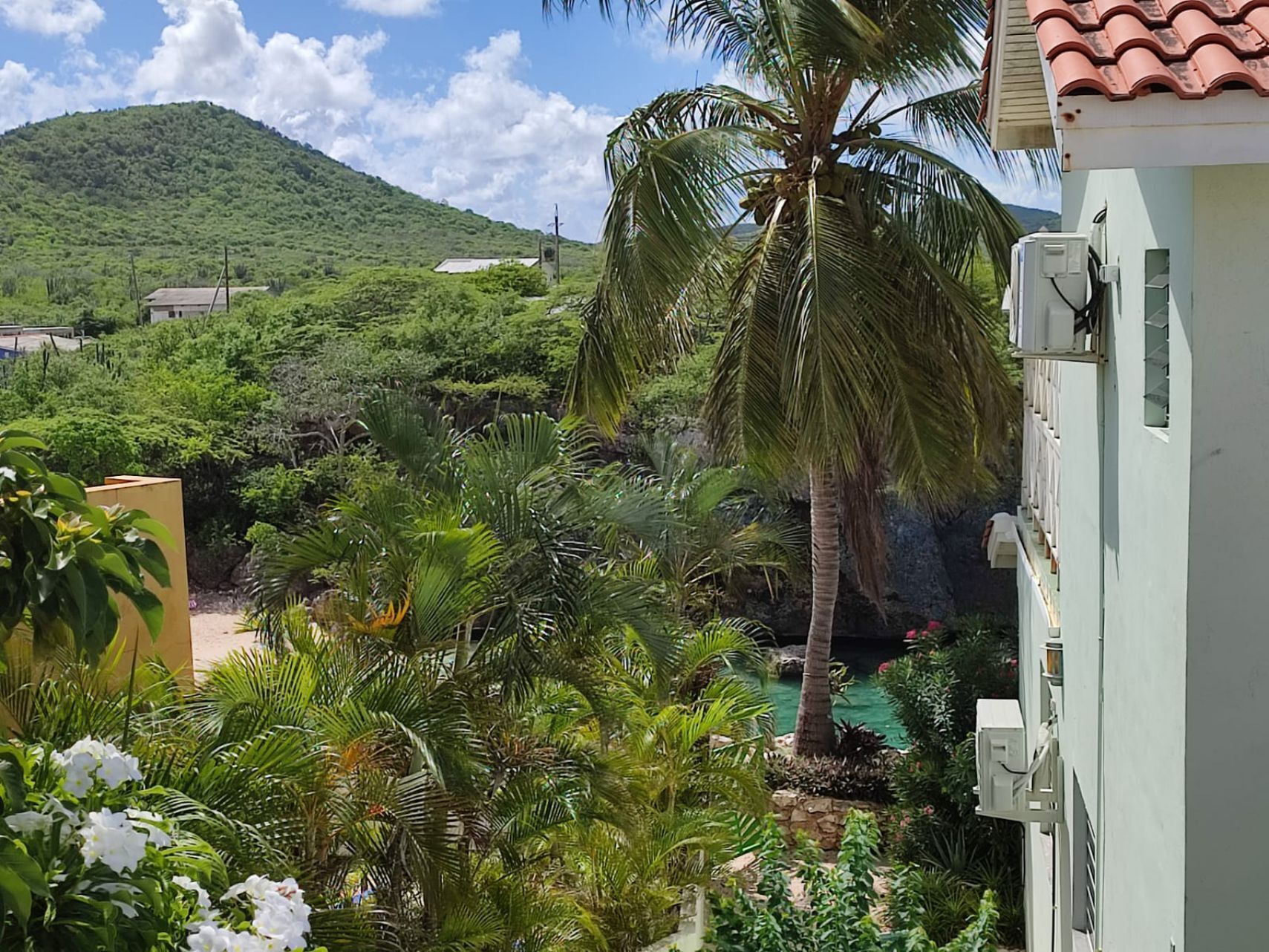 A lush garden with palm trees and flowering plants, a mountain in the background, and a building with a tiled roof.