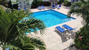 Ein Swimmingpool mit Liegestühlen und Palmen.
