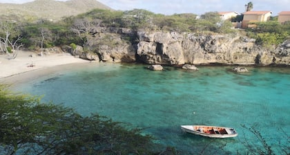 Serenity Haven: Garden-View Retreat at Lagoon Bay"