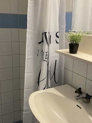 Tina, secadora de cabello, jabón, papel de baño 