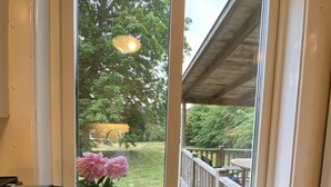 Una cocina con vista a un porche y jardín. Se ven una cafetera, un tostador, una taza y un florero.