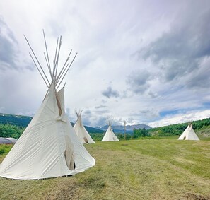 A row of white teepees in a grassy field with mountains in the background.