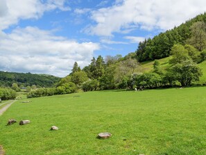 Property grounds - Lower Goytre Farmhouse (Knighton)