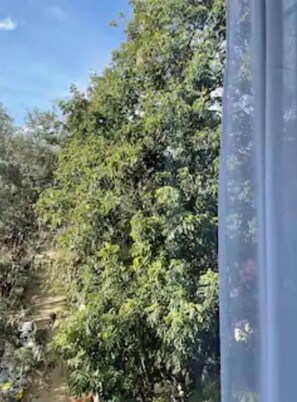 Utsikt fra overnattingsstedet