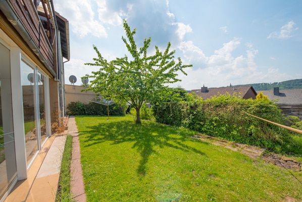 Un giardino curato con un albero grande, cielo sereno e un edificio con antenne paraboliche.