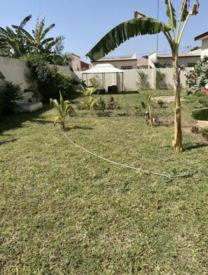 House | Property grounds