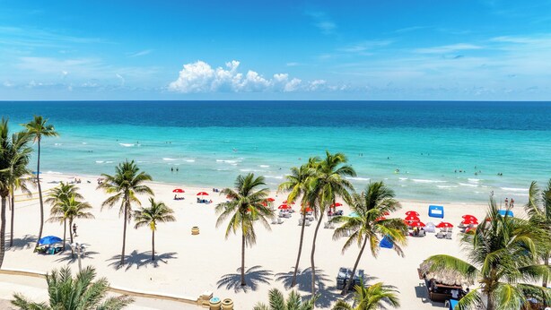 A beach with palm trees, sun loungers, and umbrellas.