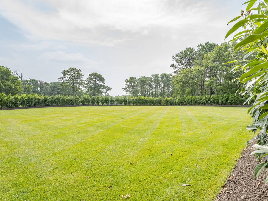 Una extensa pradera con una frondosa línea de árboles al fondo.