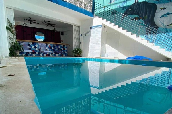 Outdoor pool, sun loungers