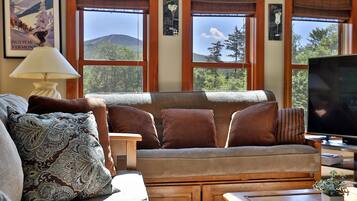 TV, fireplace, music library, video library