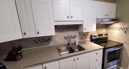 Dom Mills and Eglinton 1 bedroom Apartment