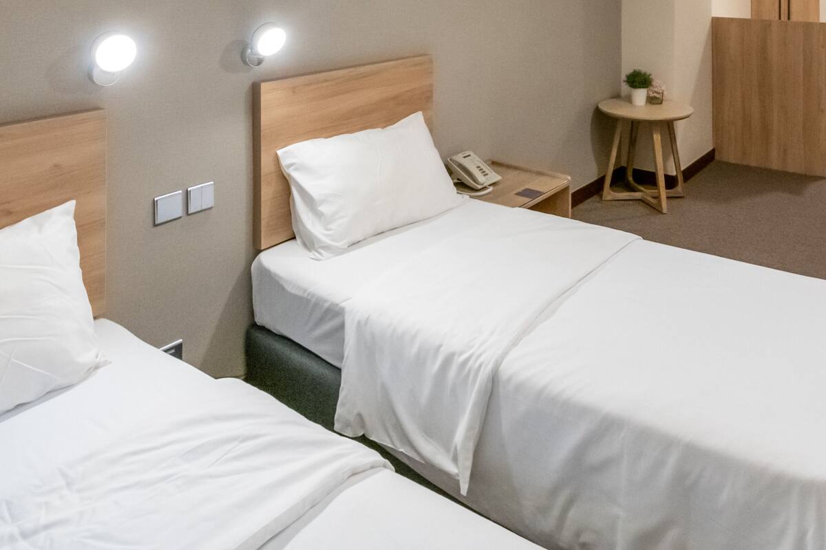 Two single beds with wooden headboards, white bedding, bedside tables with lamps, and a small potted plant.