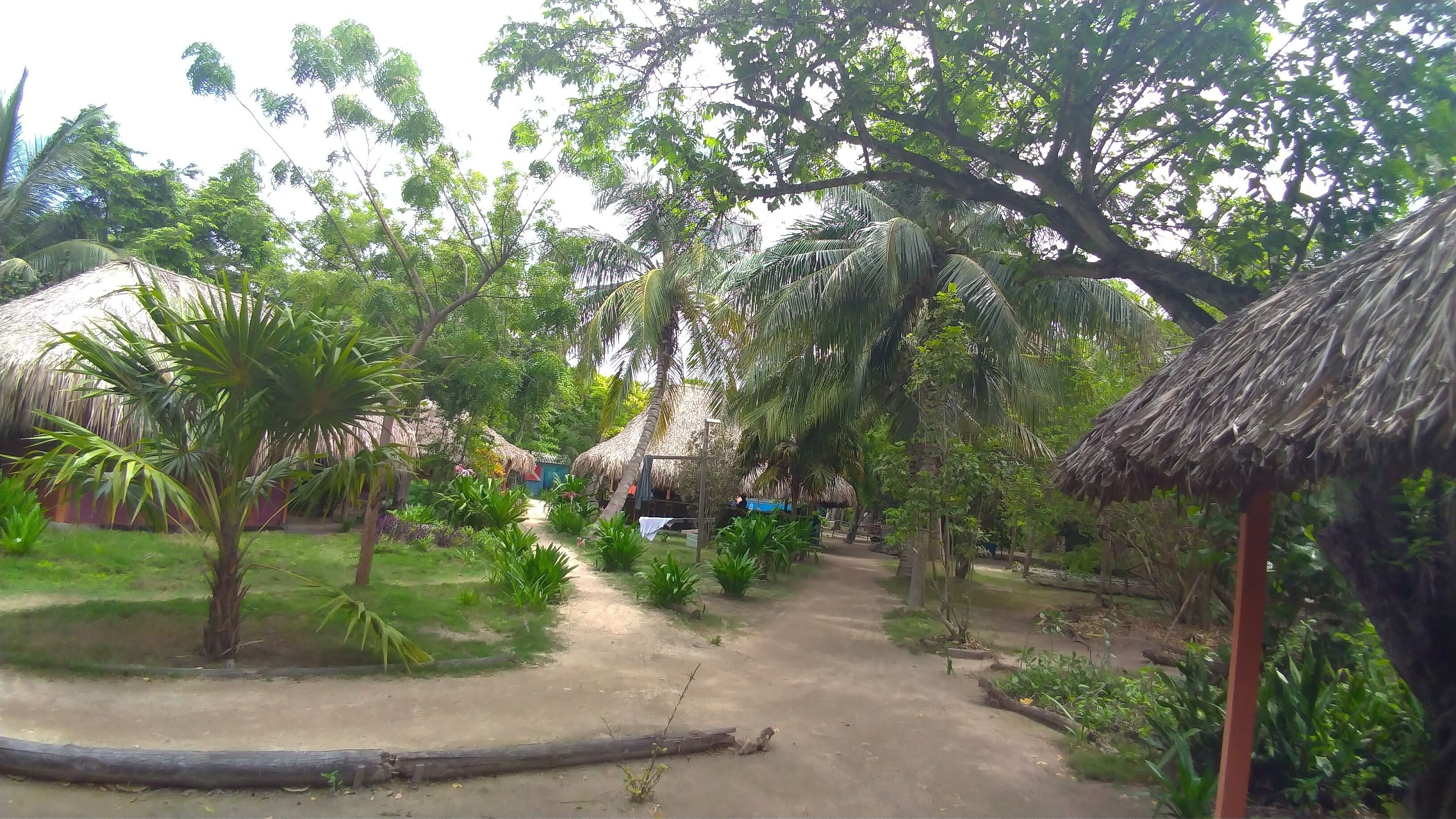 Photo - Eco Hotel Las Palmeras