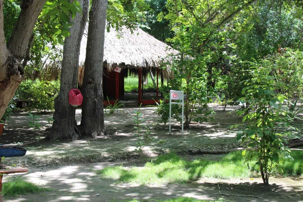 Photo - Eco Hotel Las Palmeras