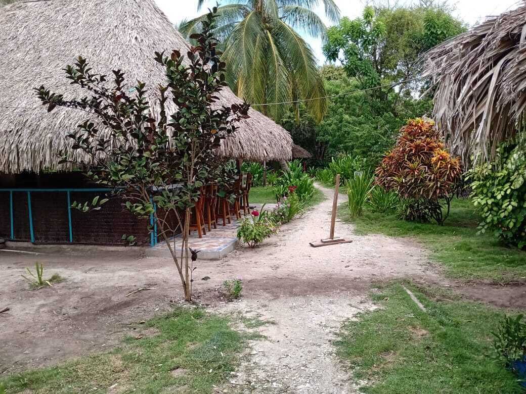 Photo - Eco Hotel Las Palmeras