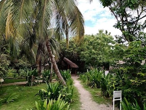 Interior entrance - Las Palmeras (Rosario Islands)