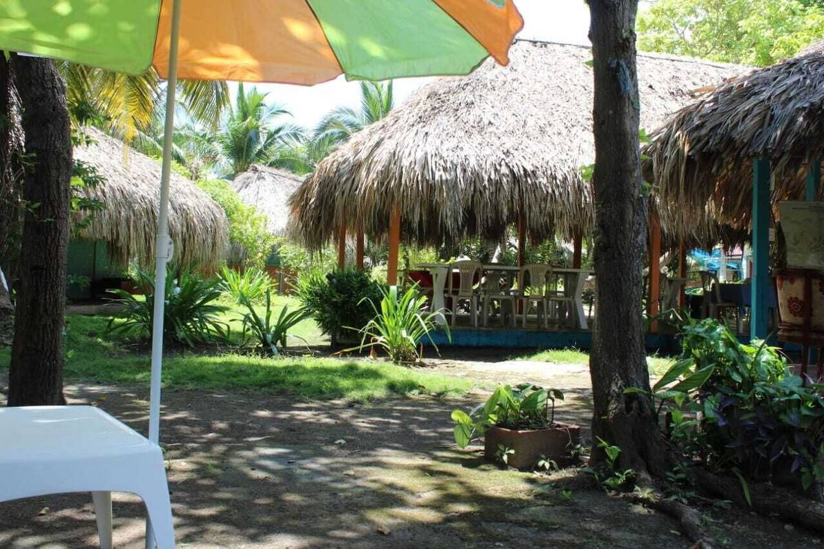 A tropical outdoor area with thatched-roof structures, a white plastic chair, and potted plants.