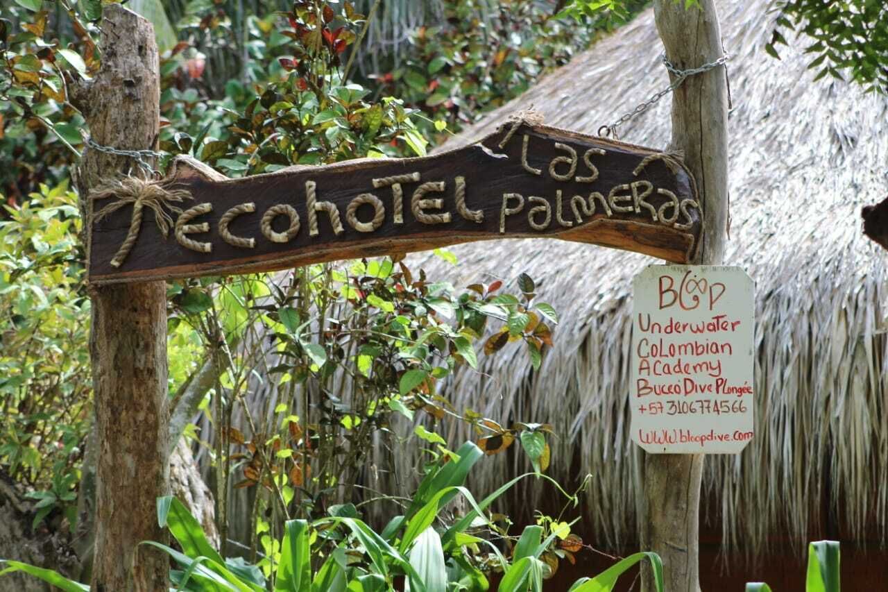 Photo - Eco Hotel Las Palmeras